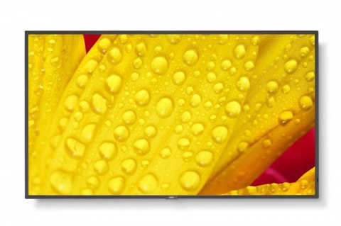 Monitor NEC 60006083 (43" /TFT IPS /60Hz /3840 × 2160 /Czarny ) Monitor NEC 60006083 (43" /TFT IPS /60Hz /3840 × 2160 /Czarny )